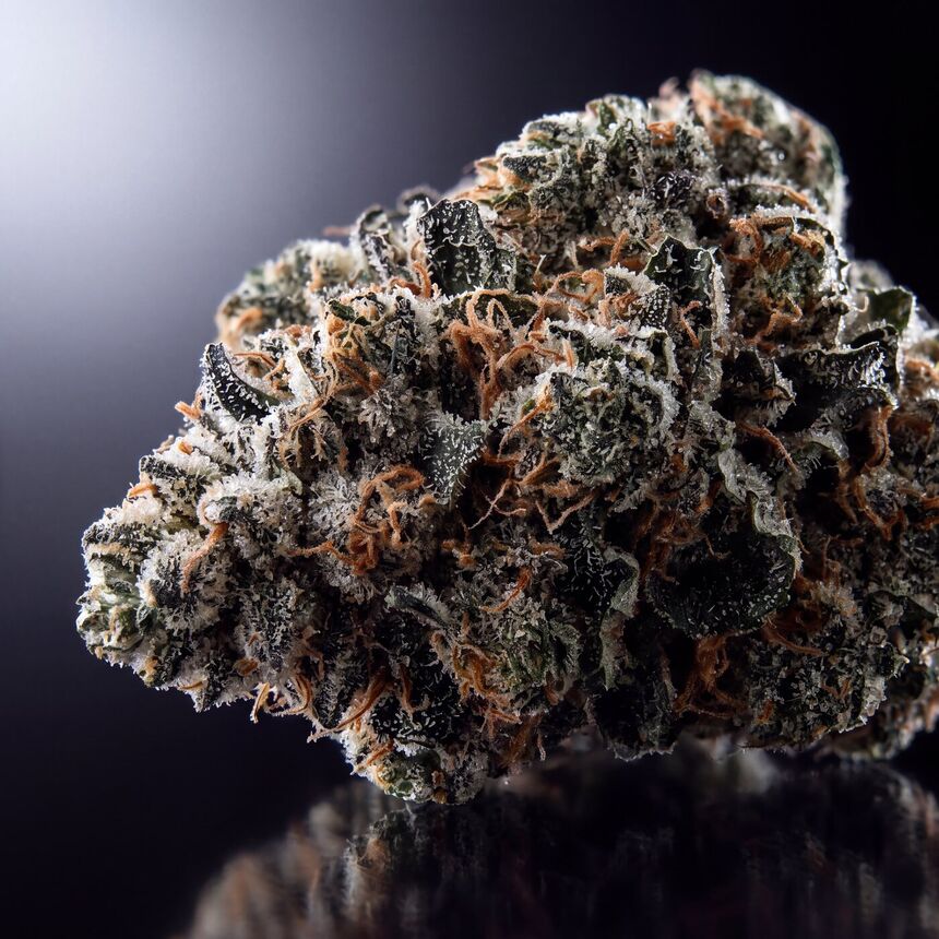 Macro photograph of a cured Alpine flower bud.