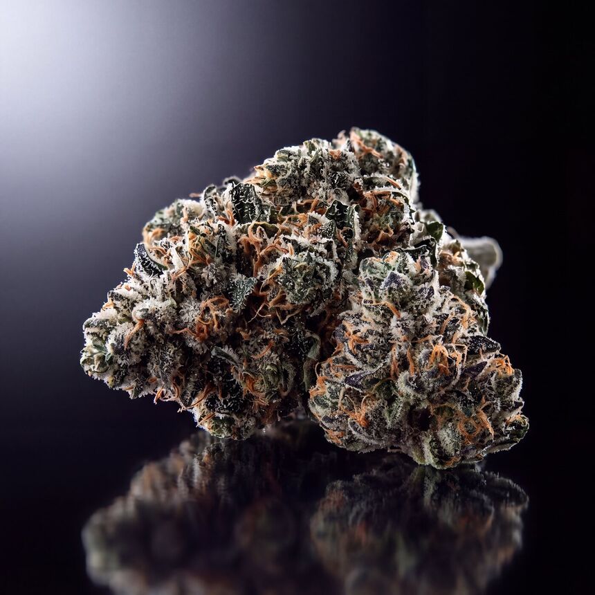 Two cured Alpine flower buds on a black surface.